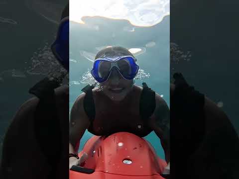 Video Placeholder