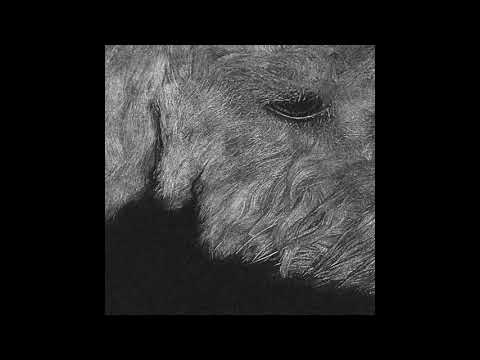 John Malkovitch! - The Irresistible New Cult Of Selenium [Full Album]