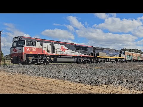 1PM9 SCT up "Dark Ghost" (SCT005, CF4430, 78P), Forrestfield to Laverton, 1635, 5/11/25, Dooen VIC 