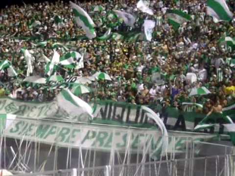 "Verde vos sos la alegría... para cantar, soñar.AVI" Barra: Los del Sur • Club: Atlético Nacional • País: Colombia