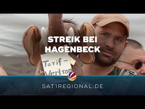 Tierpark Hagenbeck: Beschäftigte streiken
