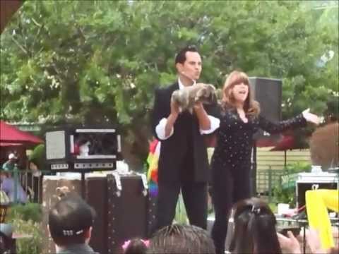 download lagu mp3 mp4 Anthony The Magic, download lagu Anthony The Magic gratis, unduh video klip Anthony The Magic