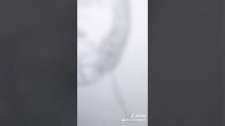 【初投稿】ティックトックの動画