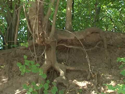В Курске жители улицы Верхняя Казацкая жалуются на небезопасный овраг