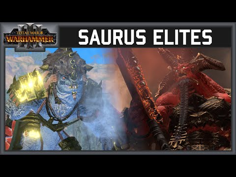 Bulwark Against Chaos - Land Battle Replay 133 Total War Warhammer 3 Multiplayer