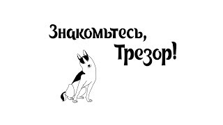 «Знакомьтесь, Трезор!»