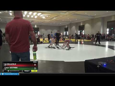 110 Lbs Round 1 - Aj DeLaCruz, SC Vs Cash Waymire, TN Acc2