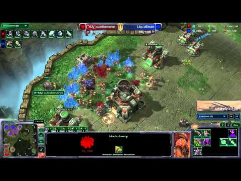 SCII-HOTS (HD009) culottemaron Vs Snute [TvZ]-FR