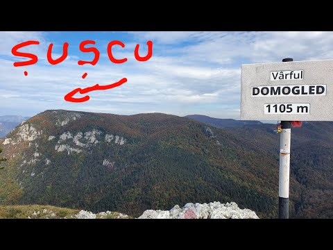 VF. DOMOGLED  (BĂILE HERCULANE)