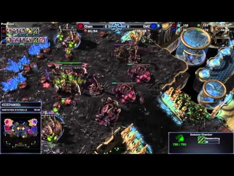 Catz vs Cham G1 - Copa America