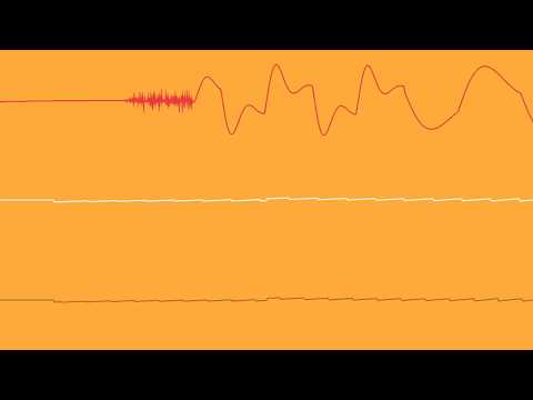 COMMODORE C64 SID - 2015 - THE ZOO PARADE - FLEX / Oscilloscope View