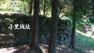 櫻堂薬師　しだれ桜 - 瑞浪市観光協会ポータルサイト