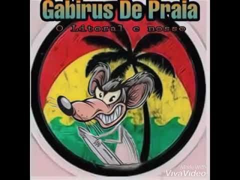 Gabirus de Praia