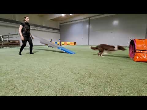 Tsemppi running contact training 8.5.23