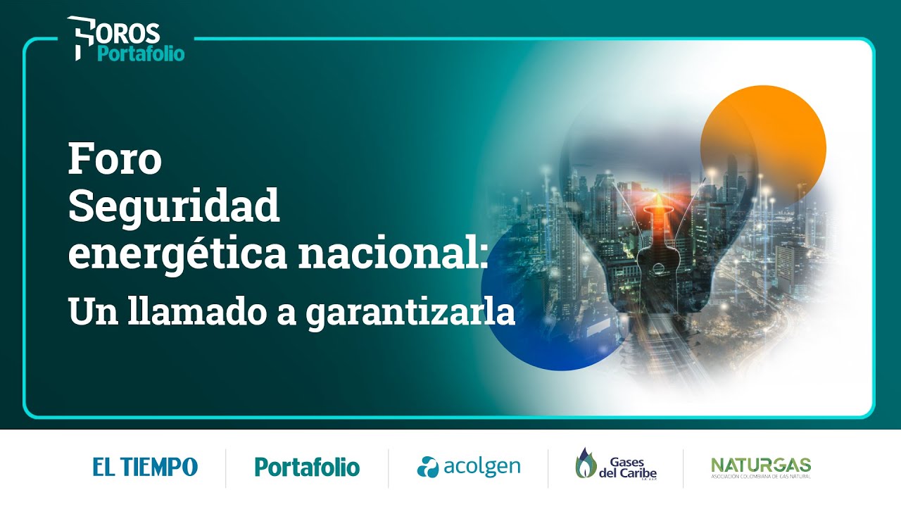 Foro Seguridad energética nacional Un llamado a garantizarla| Portafolio