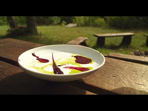 Maciejówka Borki 33 noclegi i restauracja w lesie - na Podlasiu