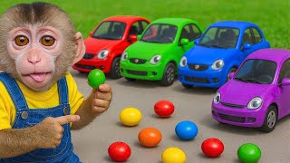 Here We Go Round the Mulberry Bus | Baby Monkey Nursery Rhymes & Kids Songs