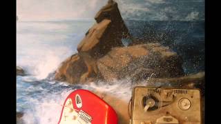 The Joe Meek Blues. Played by Willy Wilsons Twangsters