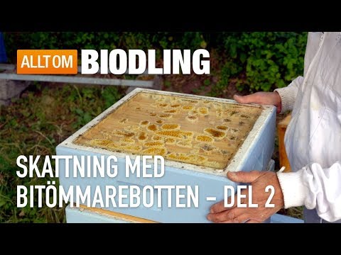 Skattning med bitömmarebotten Del 2 - Biodling