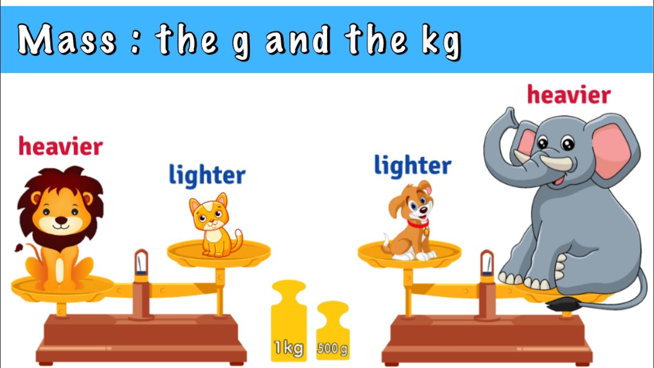 Mass : the gram and the kilogram- grade 3