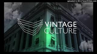 Vintage Culture, Meca - Colour of My Heart (Extended Mix)