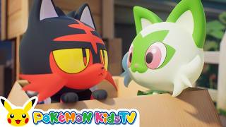 Purrfect Box | Pokémon Fun Video | Pokémon Kids TV​
