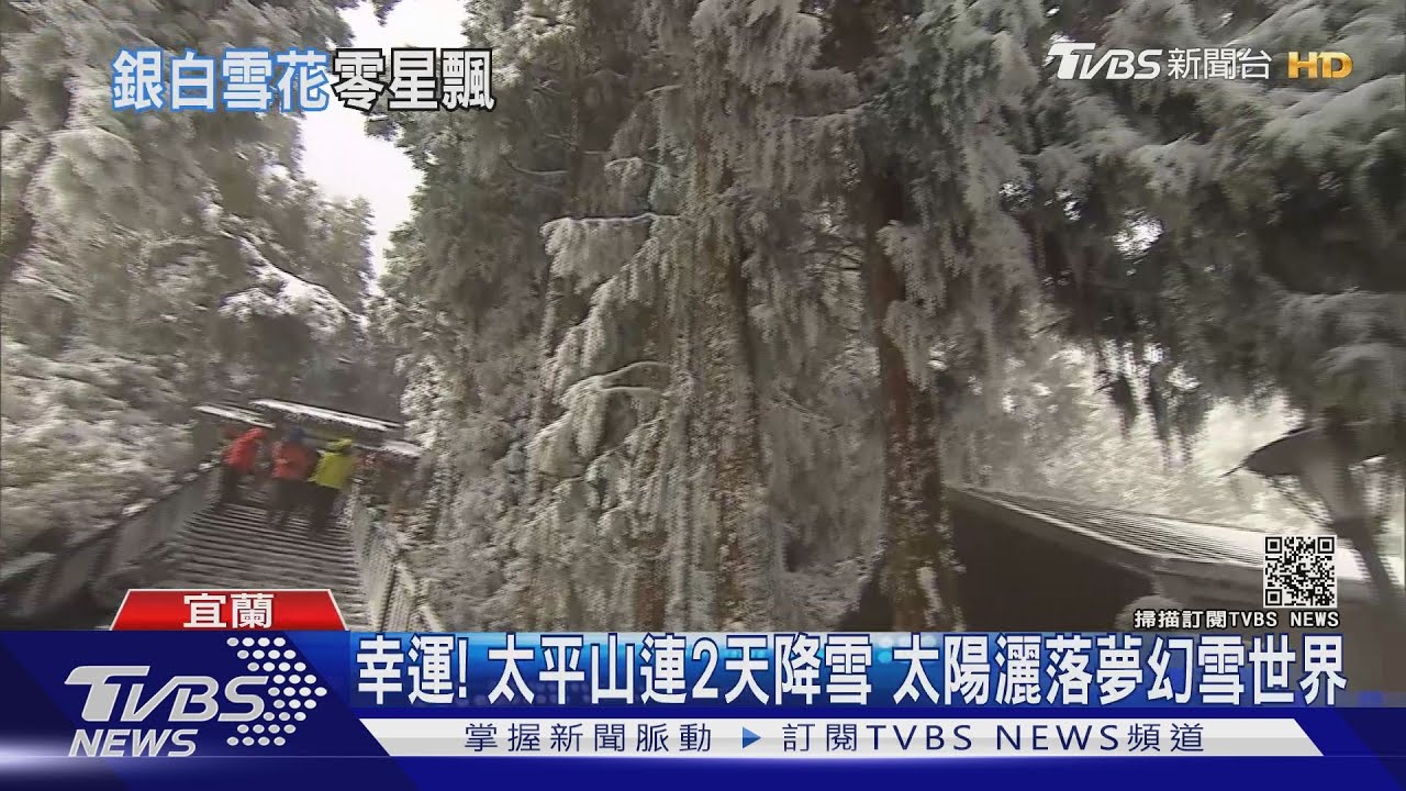 幸運!太平山連2天降雪 太陽灑落夢幻雪世界