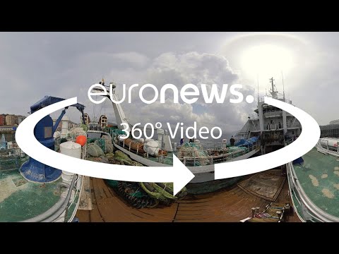 Dank blauer Biotechnologie entstehen neue Medikamente