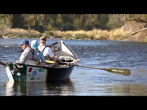 Sawyer SquareTop Oars - Cream of the Crop for Rowing