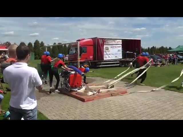 Borovice, 08. 05. 2015