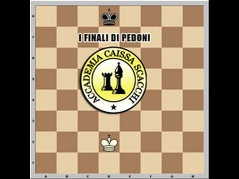 SCACCHI ESPERTI: i finali 08