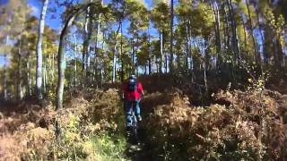 preview picture of video '2010 Fall Mountain Biking Aspen Grove Trail'