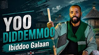 Download lagu Ibiddoo Galaan YOO DIDDEMMOO New Oromo Music mp3 Download lagu Ibiddoo Galaan YOO DIDDEMMOO New Oromo Music mp3