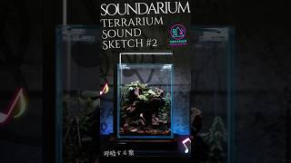 【Terrarium × Music】呼吸する葉｜Terrarium Sound Sketch #02 #terrarium #shorts