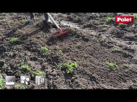 Polet Quality Products: Garden Rake 1,5M (ART. 0302121)