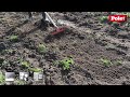 tuinhark 35cm 12 tanden + steel 160cm | video 1