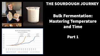 Bulk Fermentation : Mastering Temperature and Time - Part 1