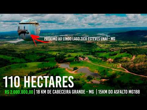 R$ 2 mi |aceita negócios | Fazenda 110 ha – Pecuária e Lazer 15 km do asfalto sentido Unaí