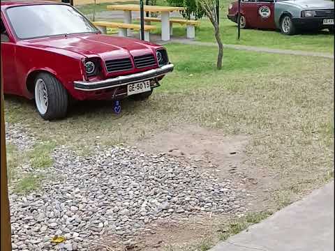 Expo show Alvear + drift 13-14 de diciembre 2025#chile #argentina #mendoza #drift #tuning #showcar 