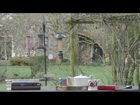 Morning Prayer – Sunday, 31st January 2021