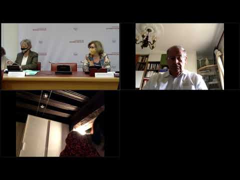 L'AAH en couple et le droit Commun [Audition de Mme Cluzel]