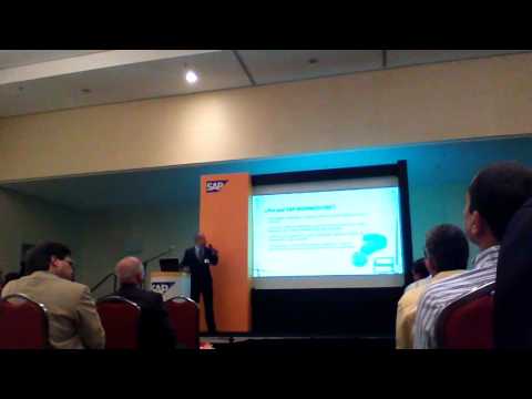 Implementación del ERP SAP.BO