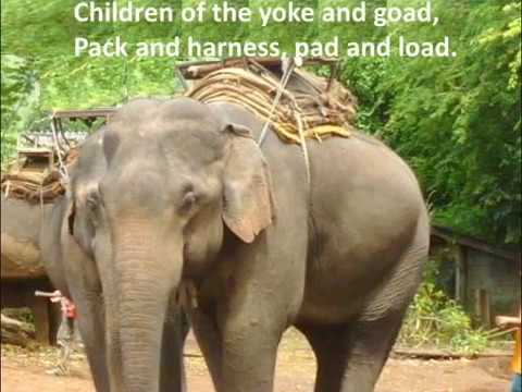 Parade Song of the Camp Animals