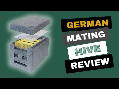 Abelo German Mini Mating Hive Review