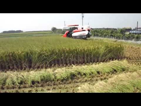 KUBOTA ER112 I kubota mini harvester I Kubota er 112 harvester