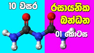 Grade 10 Science in Sinhala Medium  Unit 10 Part 1