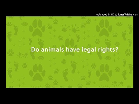 Do animals have legal rights?