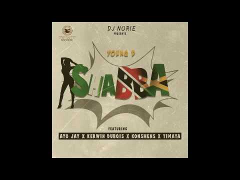 DJ Norie presents Young D ft. Ayo Jay x Kerwin Du Bois x Konshens x Timaya - Shabba