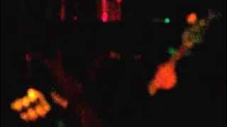 The Dictators NYC - Slow Death live New Haven 1 24 2014