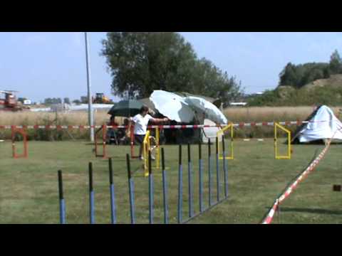 EO Quali Oberwart 2010 A  Open